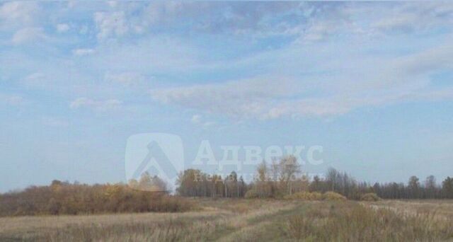земля ул Весенняя фото