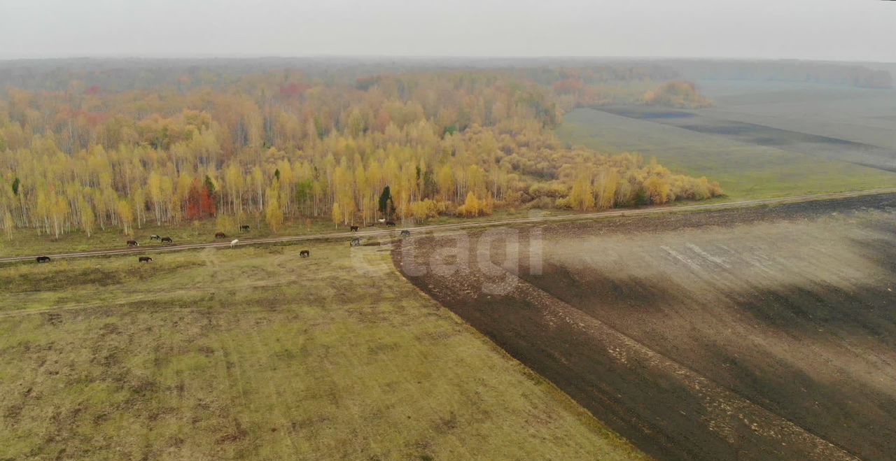 земля р-н Тюменский с Горьковка Горьковское муниципальное образование, Тюмень фото 1