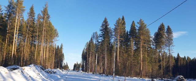 ул Ракитовая фото