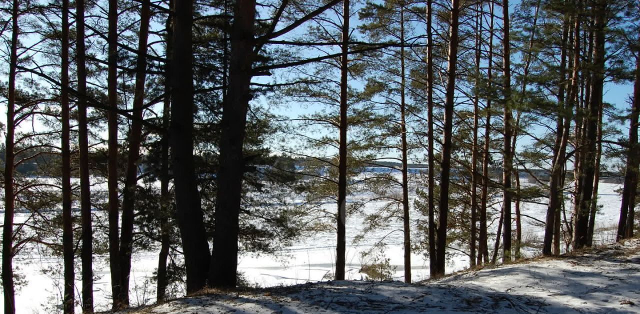 дом р-н Калининский д Тверца ул Береговая 47 фото 25