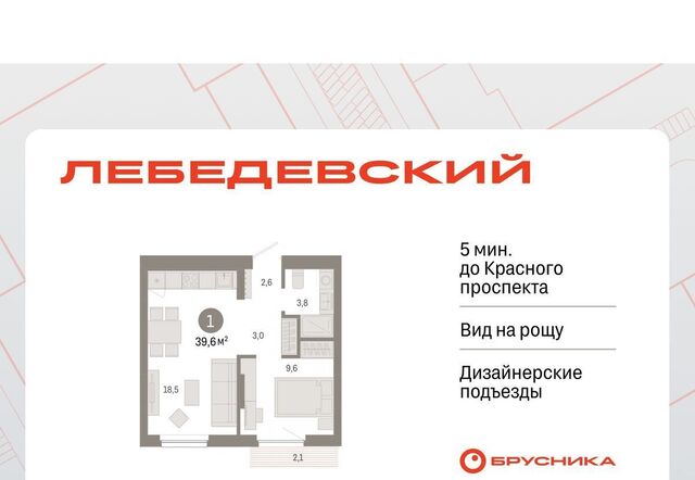 Заельцовская Лебедевский кв-л фото