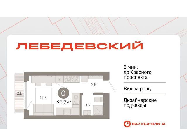 Заельцовская Лебедевский кв-л фото