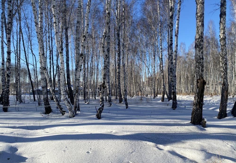 земля р-н Иркутский п Новая Разводная ул Западная Молодёжное муниципальное образование, Иркутск фото 9