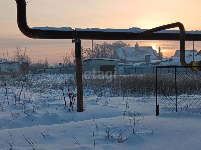 Розы Люксембург фото