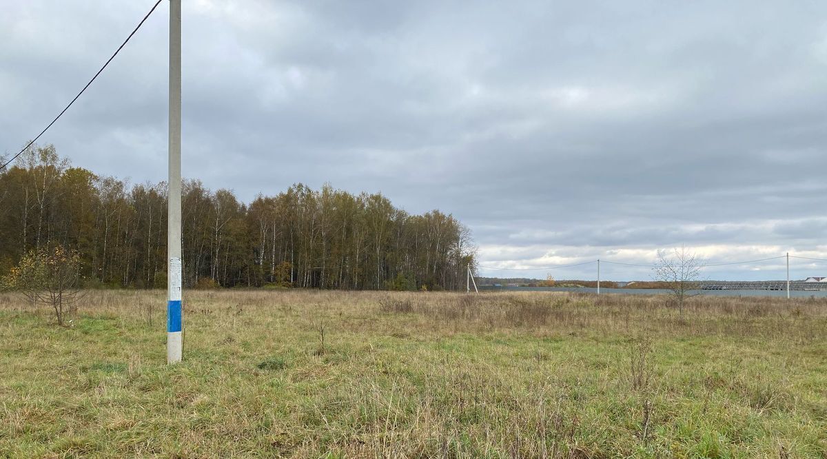 земля городской округ Чехов д Филипповское фото 1