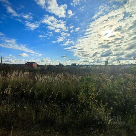 Дубровка СХ 2 тер фото