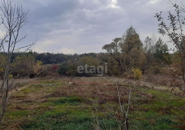 г Белгород Западный снт Зеленая горка садоводческое товарищество фото