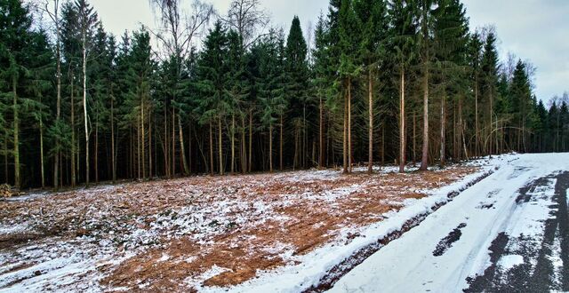 земля рп Икша 33 км, коттеджный пос. Медведки, Рогачёвское шоссе фото