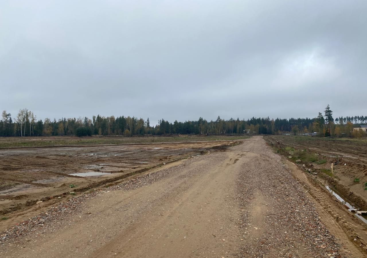 земля городской округ Богородский г Электроугли 21 км, коттеджный пос. Восточная д, Носовихинское шоссе фото 4