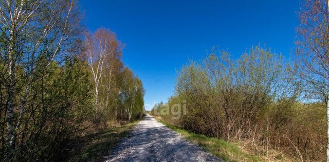 земля снт Виктория-1 фото