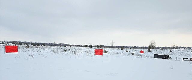 Дубравная ул 1-я Вознесенская фото