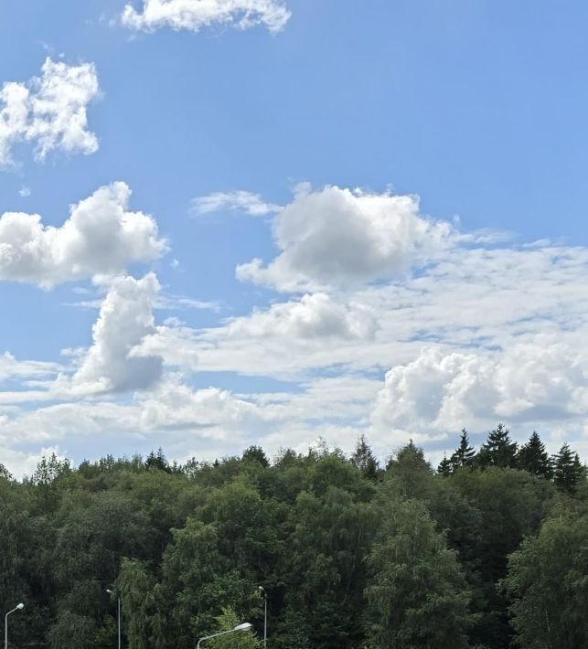 квартира г Химки мкр Новогорск ул Ивановская 6к/2 Планерная фото 38