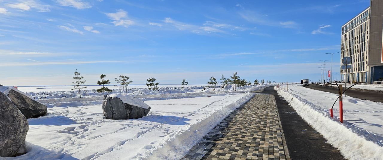 квартира г Санкт-Петербург метро Приморская наб Миклухо-Маклая 1к/1 фото 20