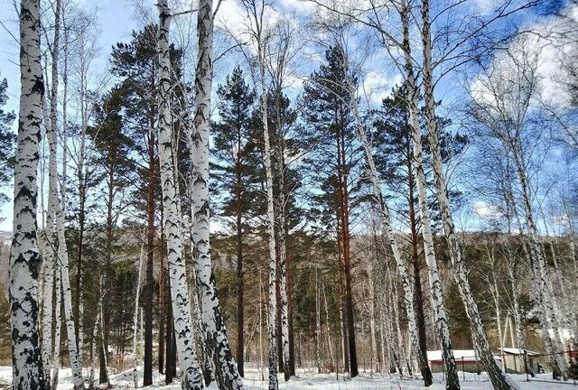 Николов Посад Круговая ул фото