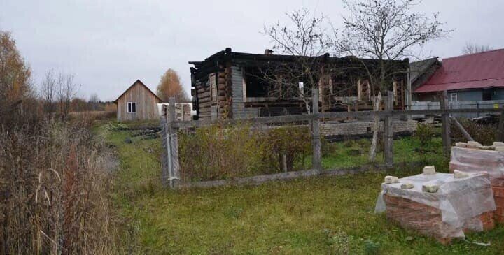 земля р-н Судогодский д Каменец муниципальное образование Головинское, Центральная улица фото 3