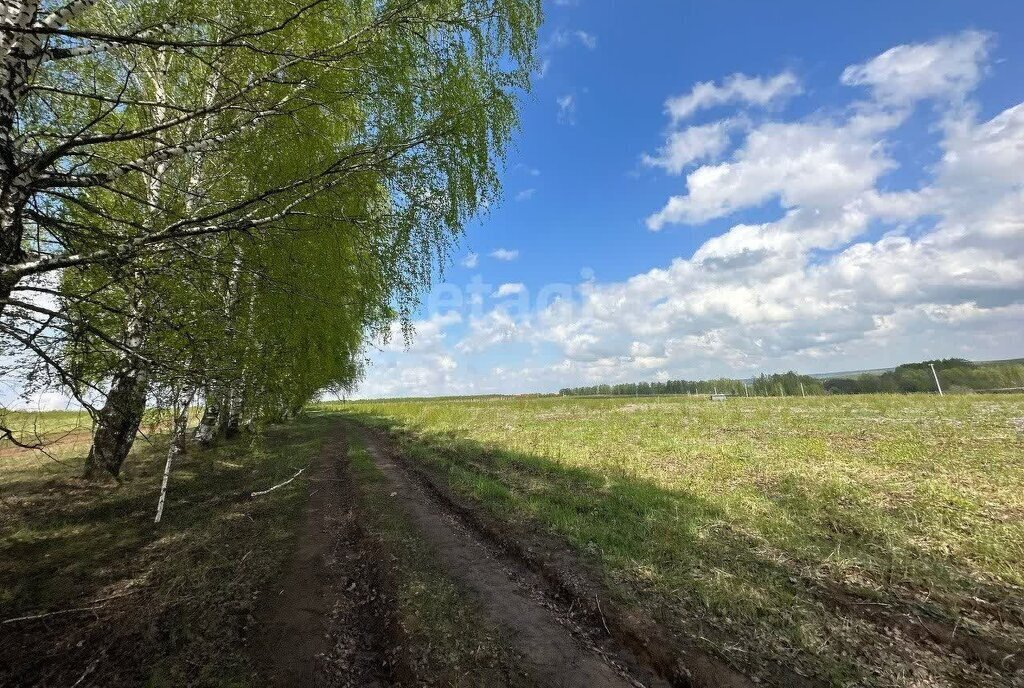 земля р-н Богородский д Килелей фото 1