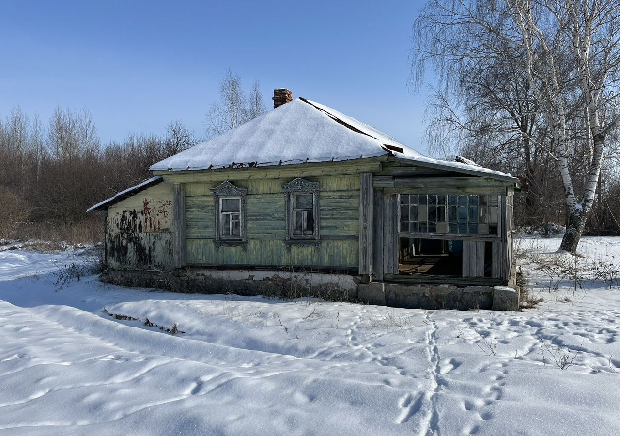 дом р-н Чаплыгинский с Большой Снежеток ул Молодежная 12 Юсовский сельсовет, Чаплыгин фото 3