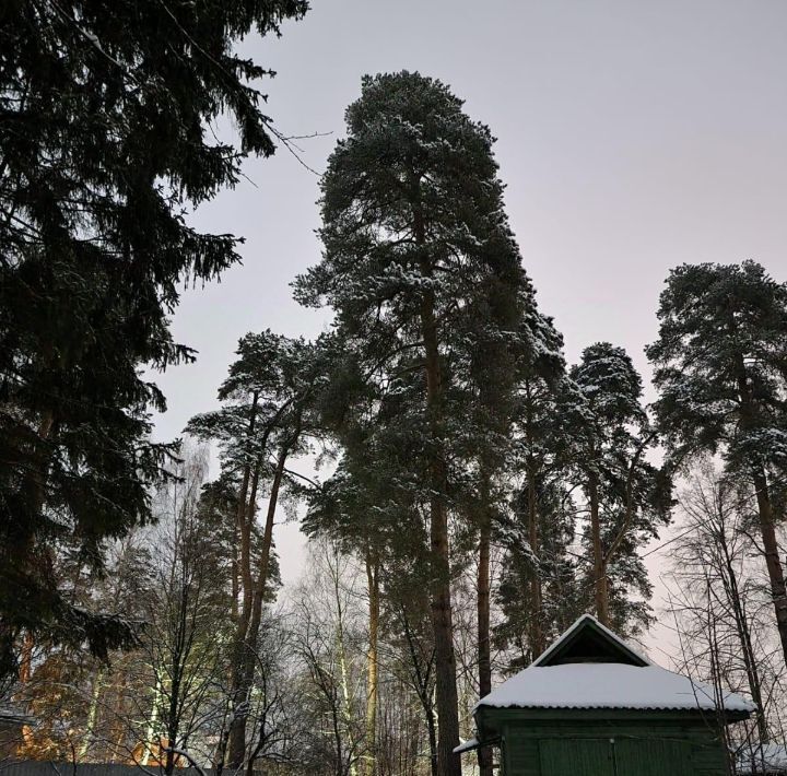 земля городской округ Красногорск п Нахабино городской округ Красногорск, Набережная улица фото 4