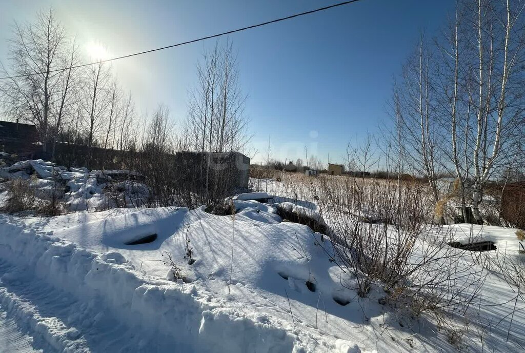 земля г Тюмень снт Поле чудес ул Виноградная фото 3