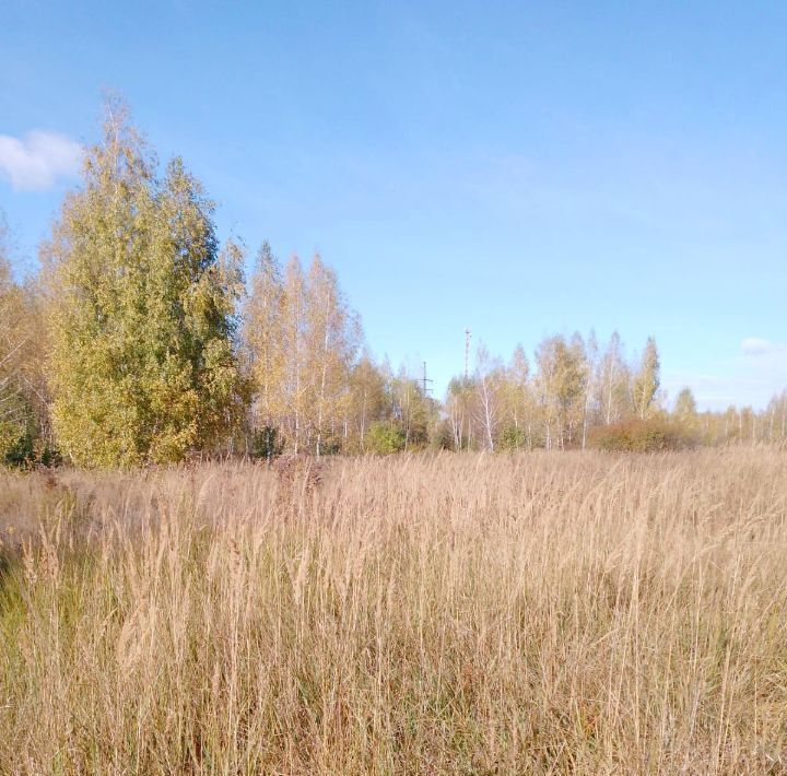 земля г Донской мкр Руднев ул Новая 17 фото 3