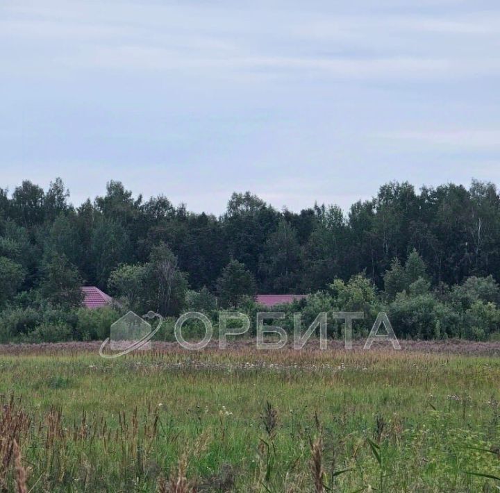 земля р-н Тюменский п Новотарманский ул Лесная фото 7