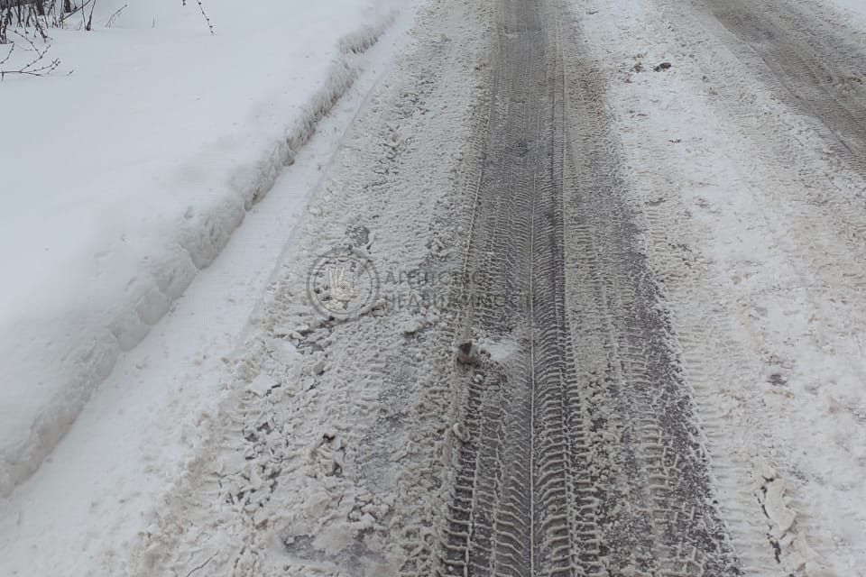 земля р-н Арский г Арск ул Почтовая 3 фото 4