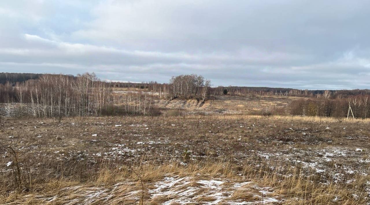 земля городской округ Серпухов д Каргашино фото 1