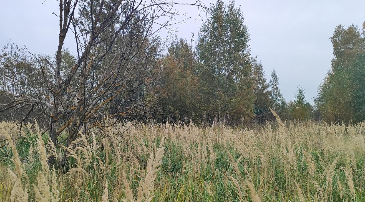 земля городской округ Раменский д Кулаково Кратово фото 1