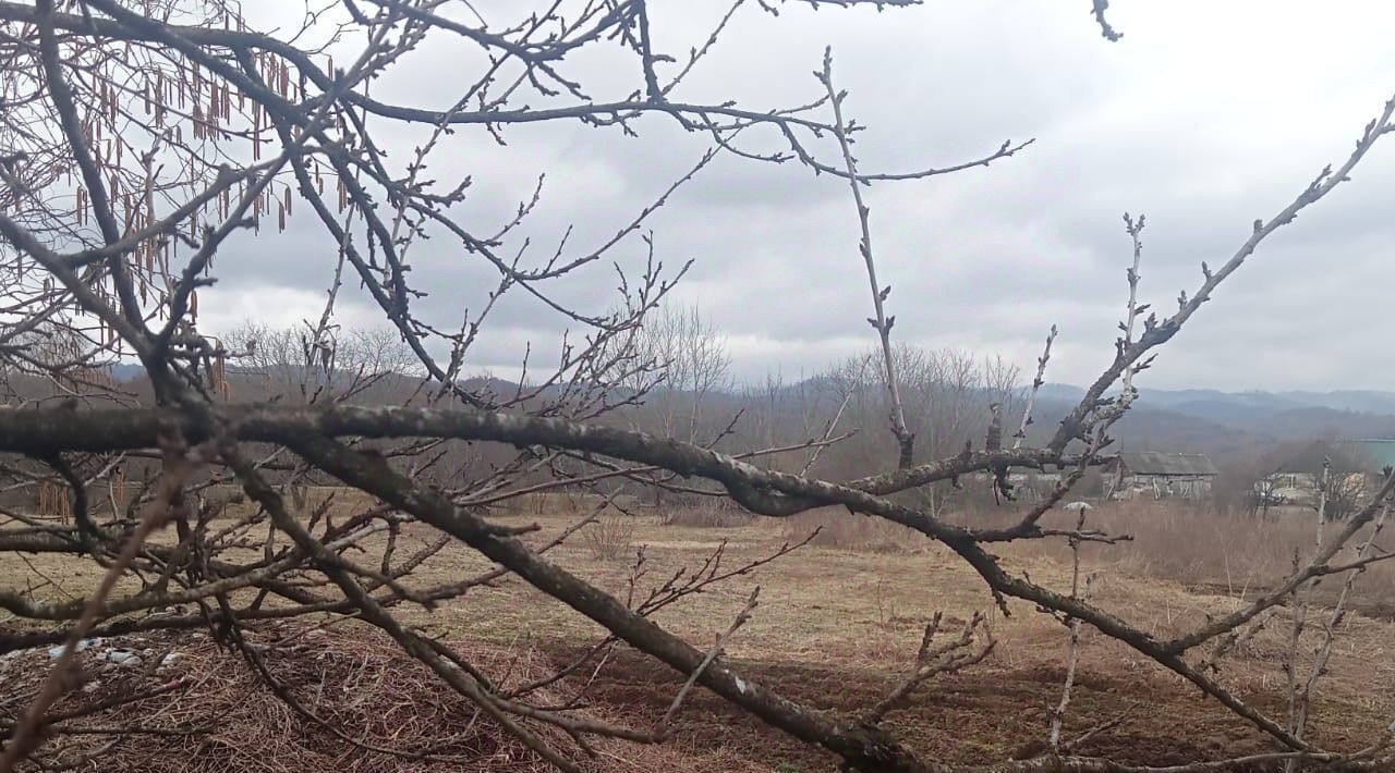 земля р-н Пригородный с Комгарон ул Ленина фото 2