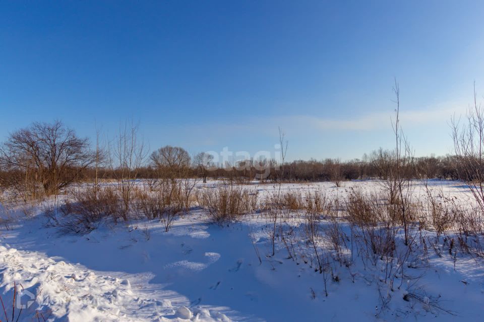 земля р-н Хабаровский село Заозёрное фото 5