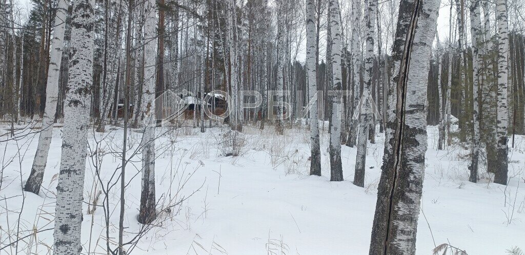 земля р-н Тюменский снт Архитектор фото 3