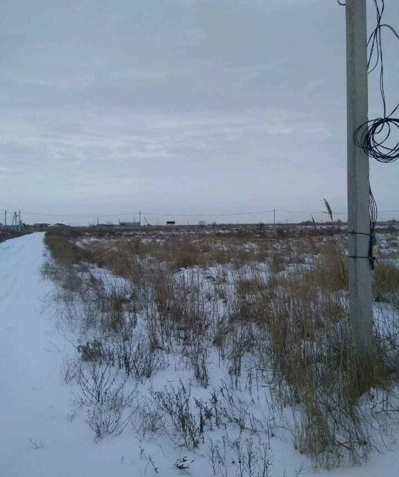 земля р-н Азовский х Городище ул Дмитрия Бруйко Елизаветинское сельское поселение фото 3