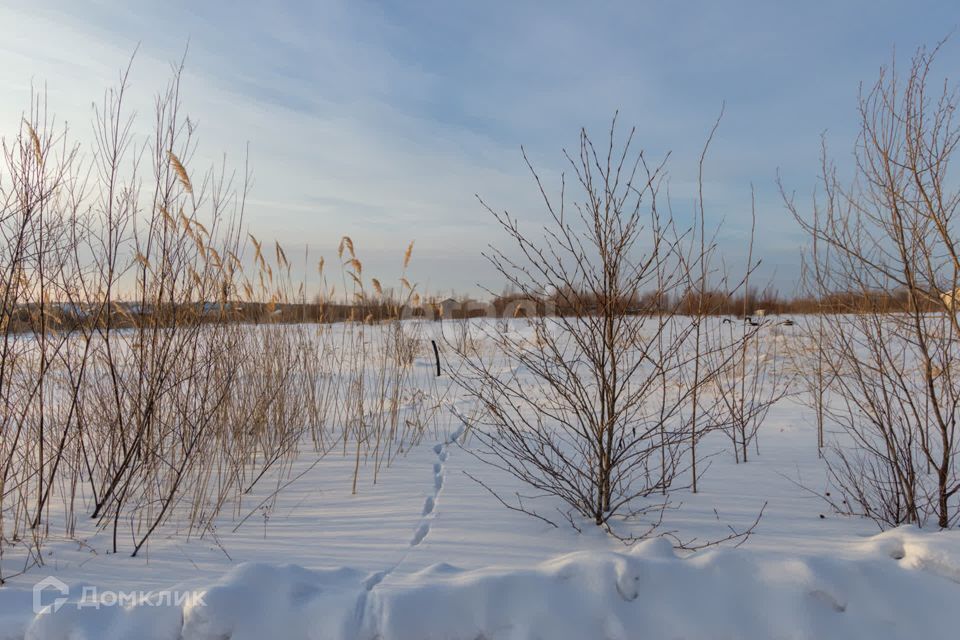 земля г Хабаровск р-н Железнодорожный ш Матвеевское городской округ Хабаровск фото 4