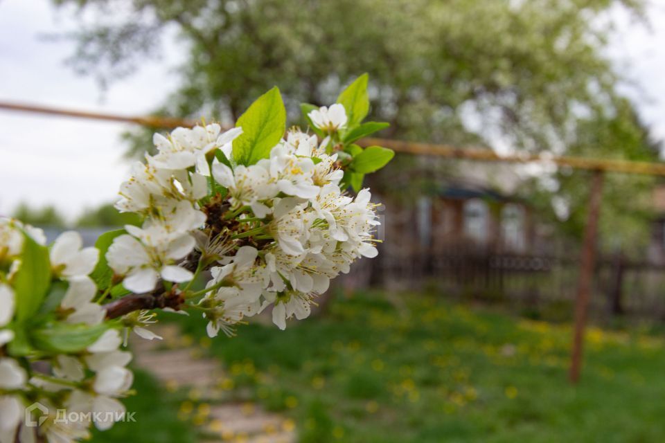 дом г Новосибирск р-н Ленинский Лесоперевалка м-н, Новосибирск городской округ фото 9