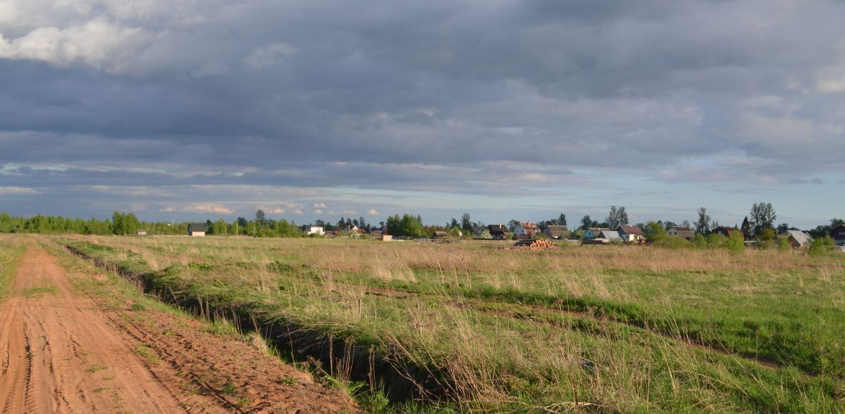 земля р-н Новгородский с Бронница ул Восточная Бронницкое с пос фото 3