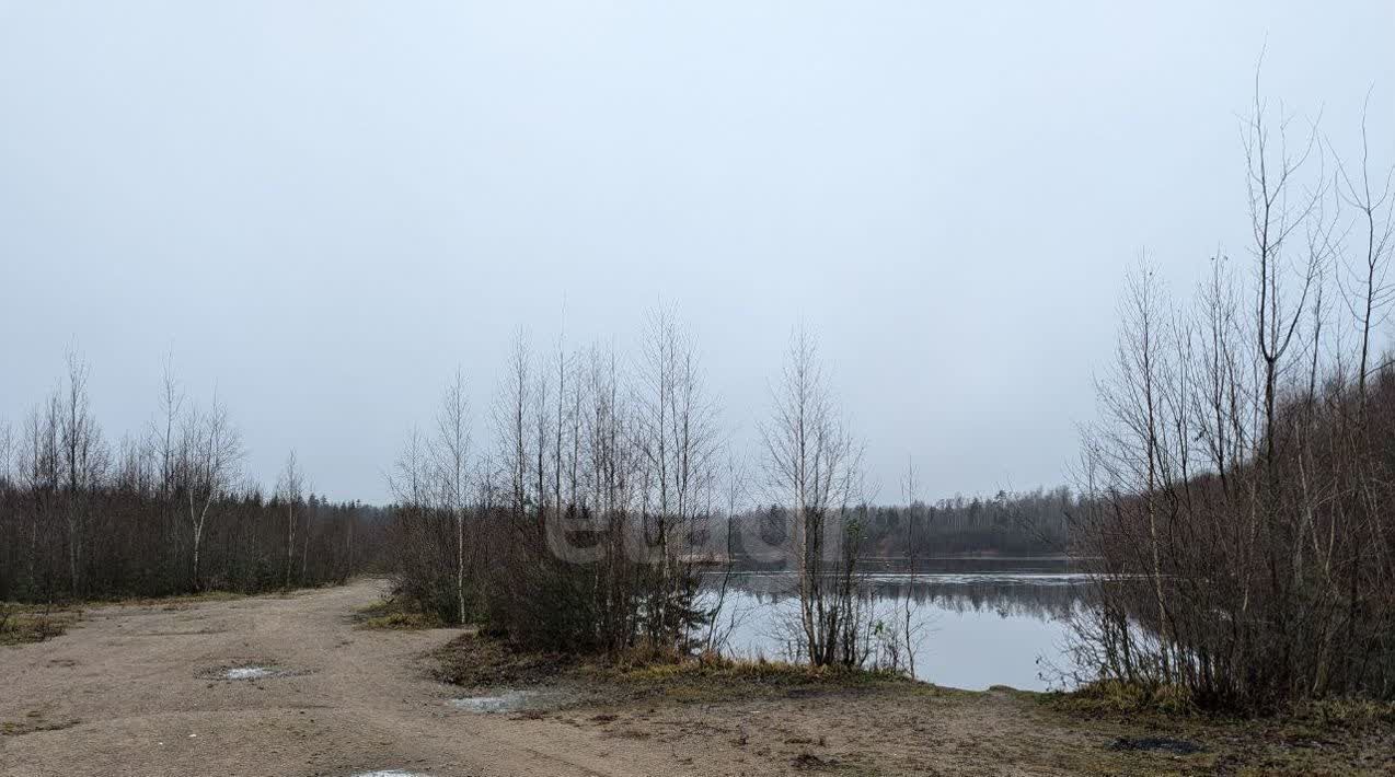 земля р-н Всеволожский Рахьинское городское поселение, Ладожское СНТ фото 8