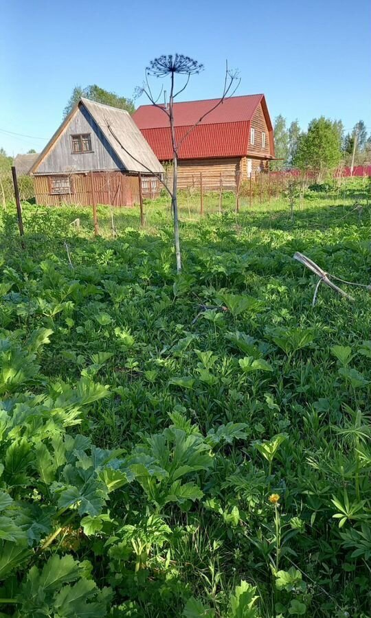 земля городской округ Можайский п Уваровка 111 км, 30, СНТ Поречье, Минское шоссе фото 1