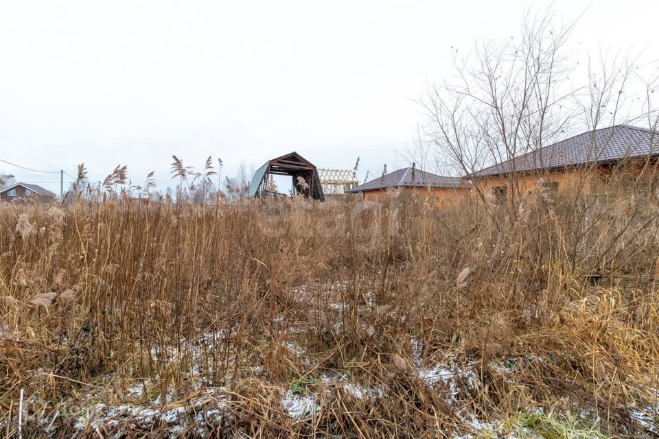 земля г Тюмень снт Поле чудес-2 ул Полевая Тюмень городской округ фото 5