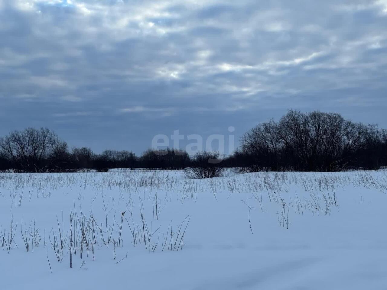 земля г Архангельск р-н Цигломенский округ тер. ТСН Малое Никольское 164 фото 6