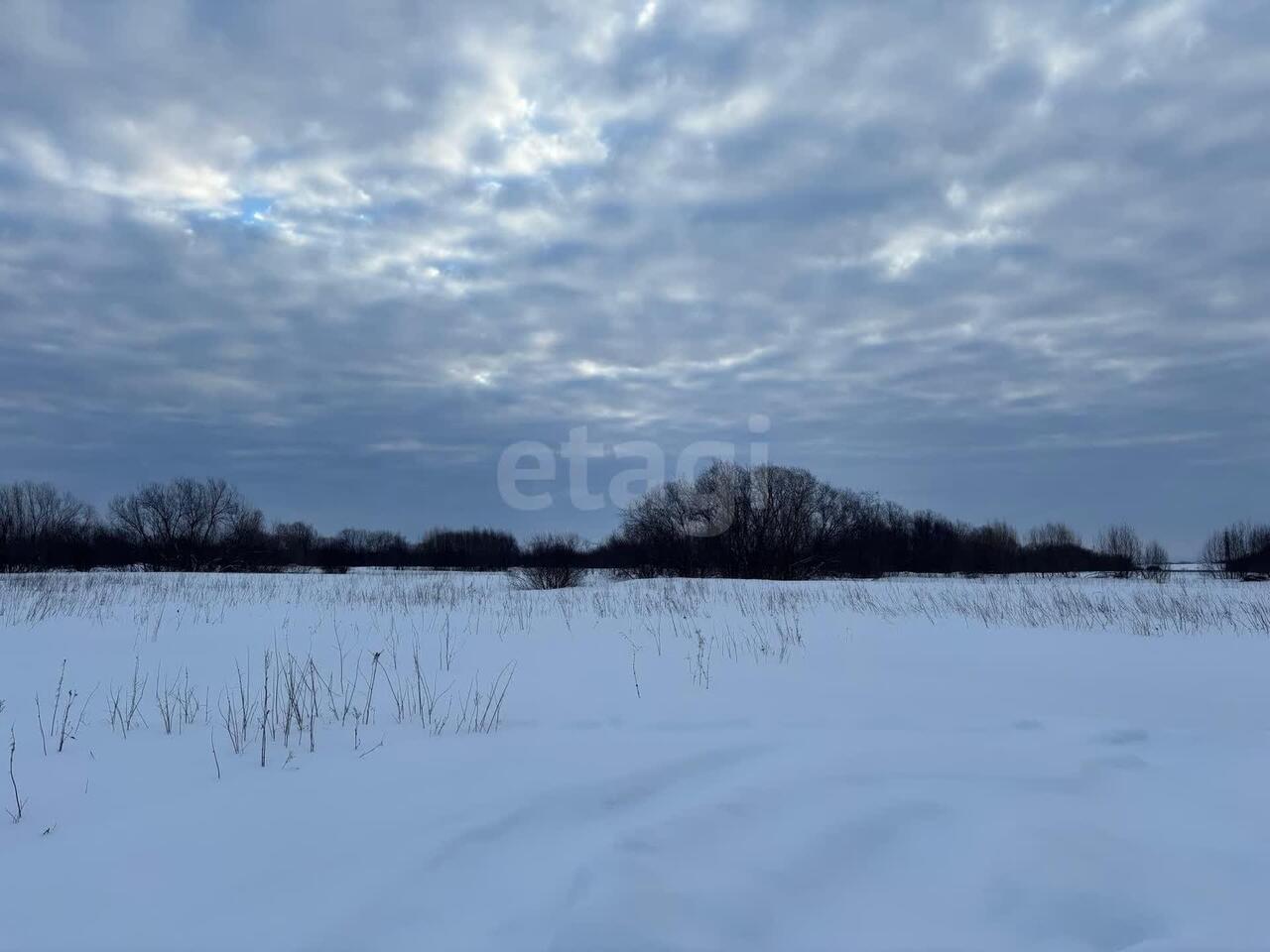 земля г Архангельск р-н Цигломенский округ тер. ТСН Малое Никольское 164 фото 11