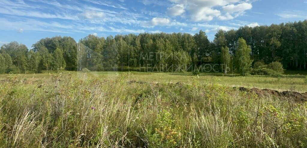 земля р-н Нижнетавдинский фото 2