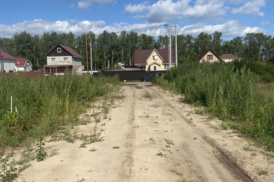 земля городской округ Богородский с. Мамонтово фото 1