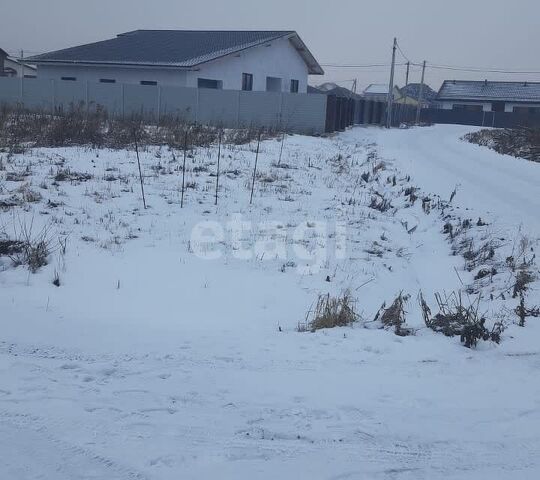 Рэд, Домодедово городской округ фото