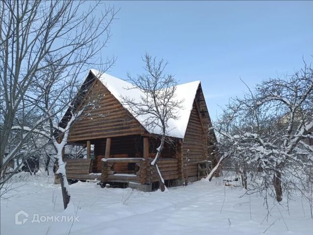 тер Торики аллея Центральная 42 Красносельский фото