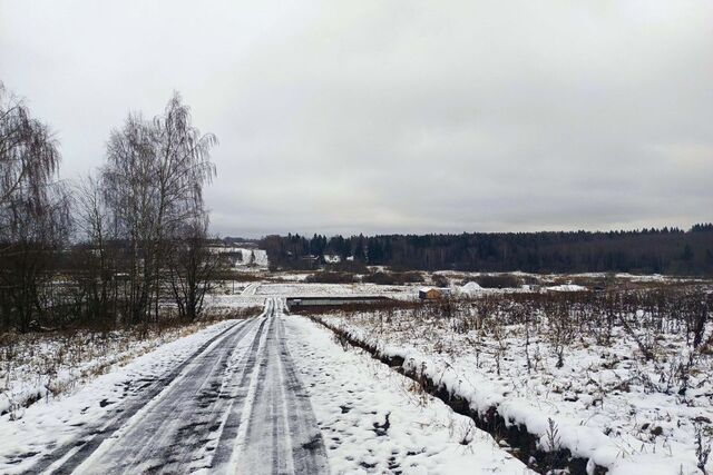 Медведки фото