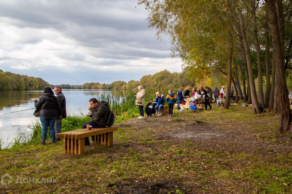 земля городской округ Раменский фото 4