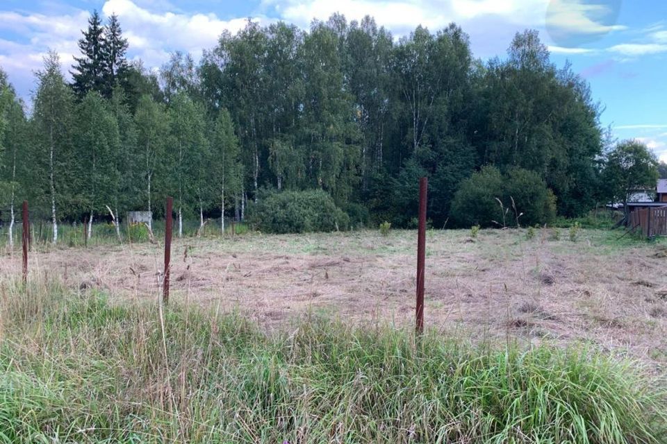 земля городской округ Солнечногорск СНТ Подолино-Д фото 4