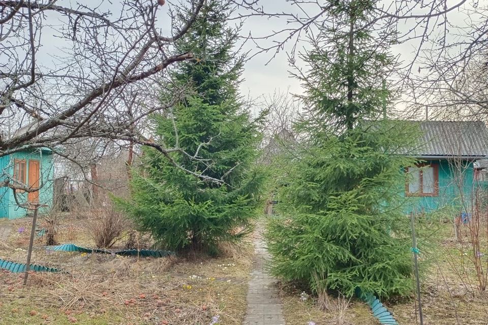 дом городской округ Пушкинский п Софрино снт им.Тимирязева ул Вишневая 28 фото 4