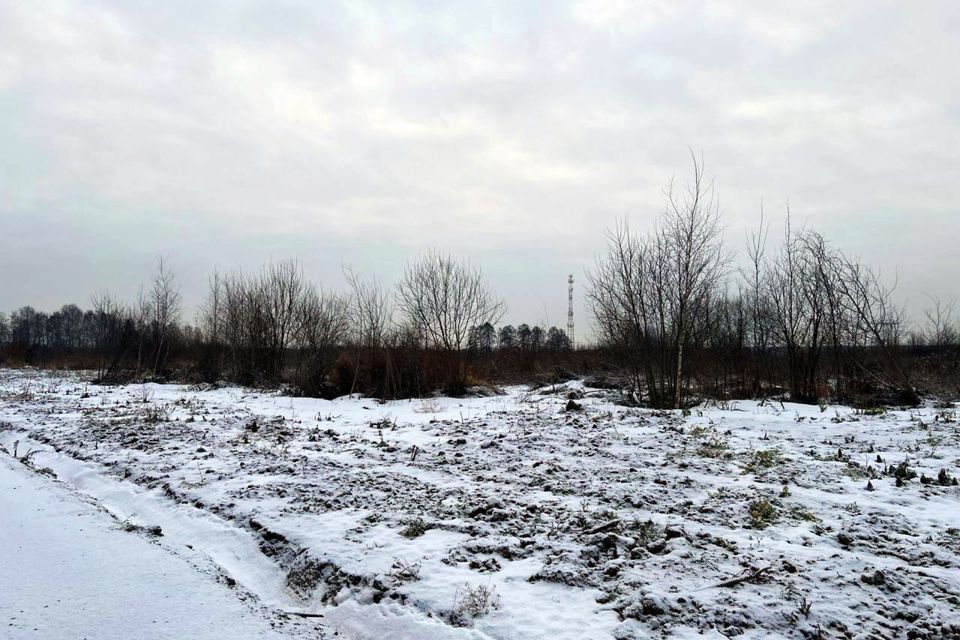 земля городской округ Раменский д. Васильево фото 1