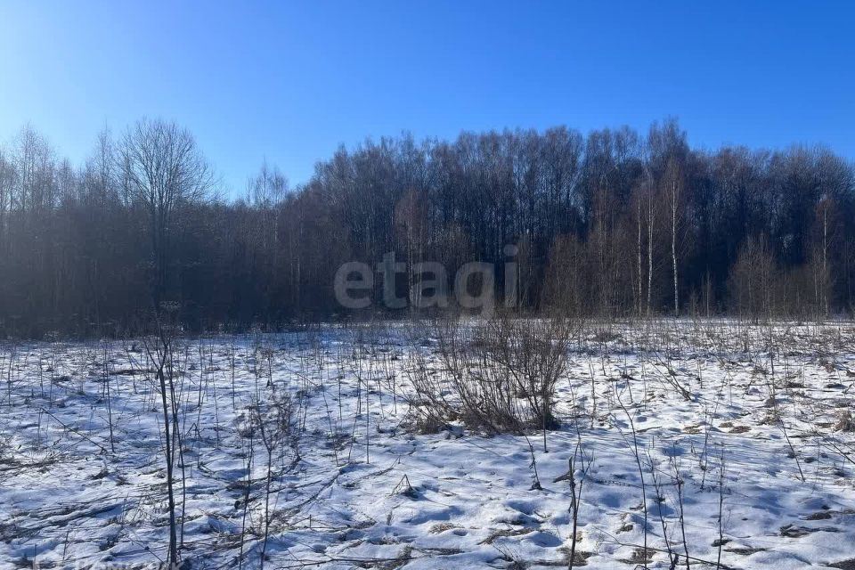 земля городской округ Талдомский д. Волково фото 1